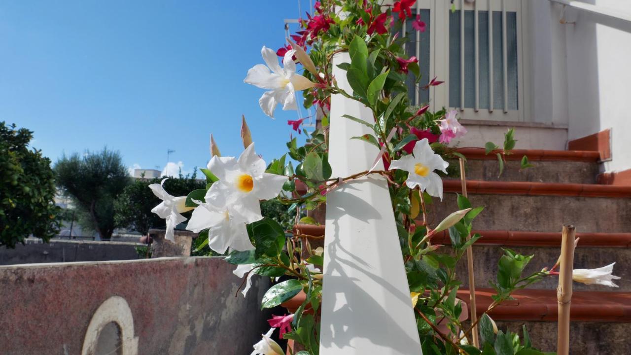 Casa Vacanza Anacapri Sunrise Bagian luar foto